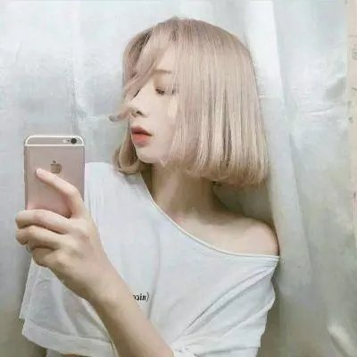 完美的独裁国家